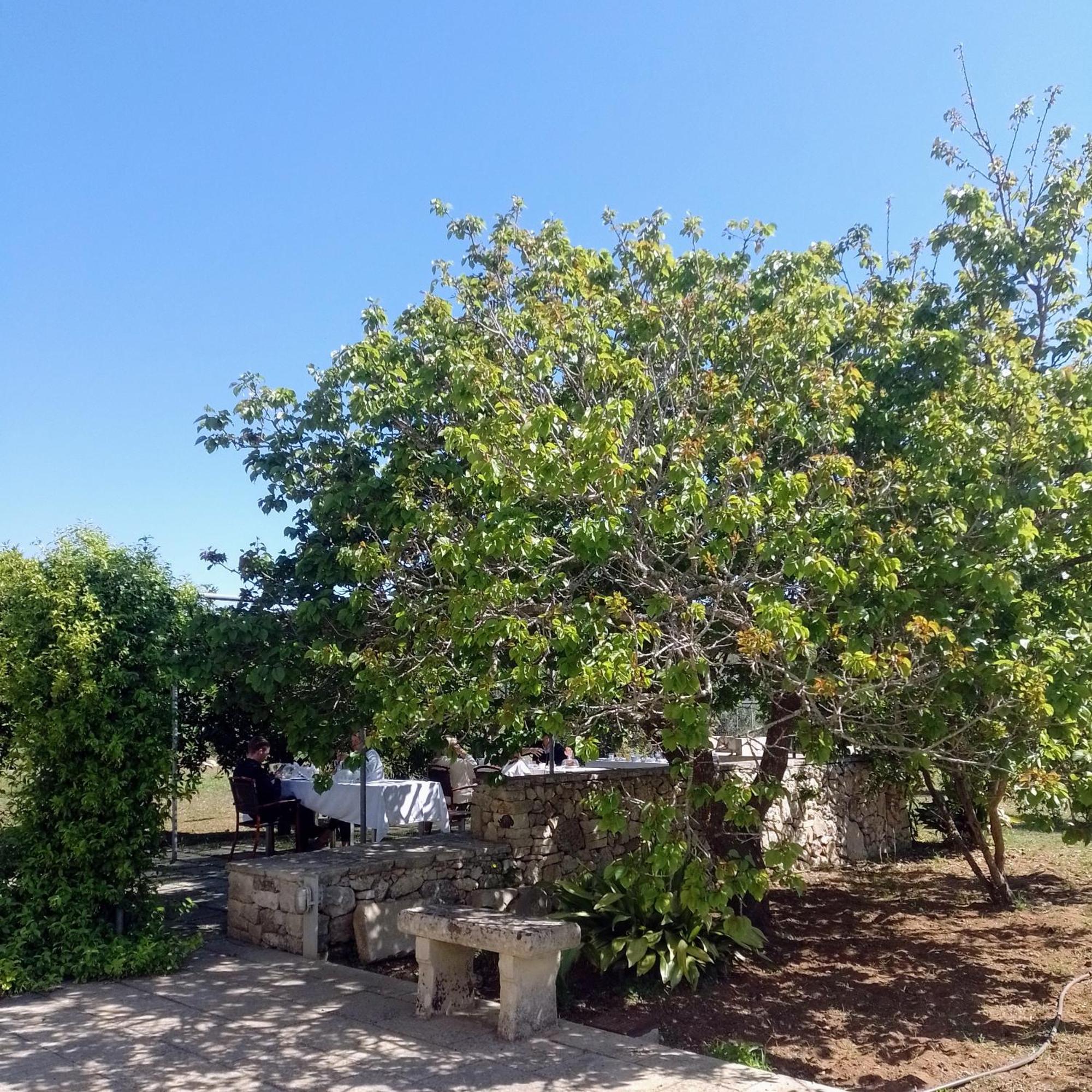 Agriturismo Villa Coluccia Martano Exteriör bild