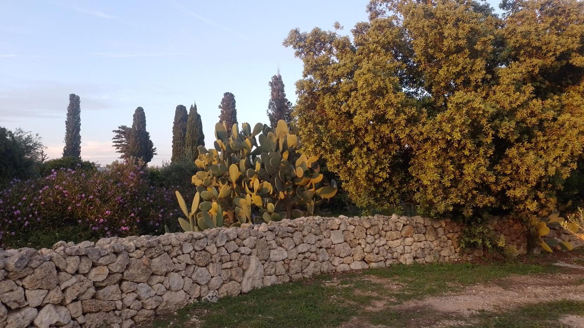 Agriturismo Villa Coluccia Martano Exteriör bild